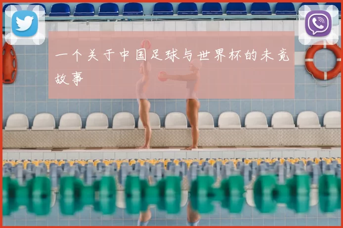 一个关于中国足球与世界杯的未竟故事