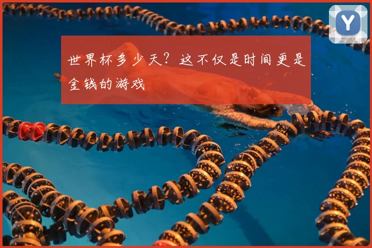 世界杯多少天?这不仅是时间更是金钱的游戏