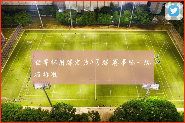 世界杯用球定为5号球 赛事统一规格标准