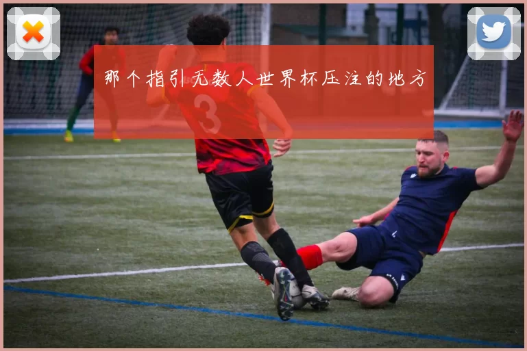 那个指引无数人世界杯压注的地方