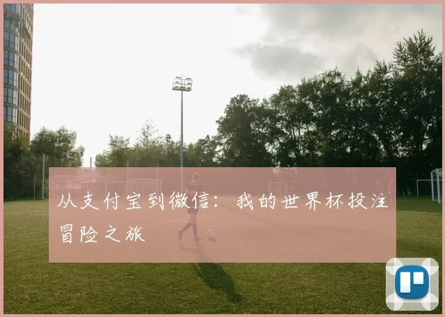 从支付宝到微信：我的世界杯投注冒险之旅