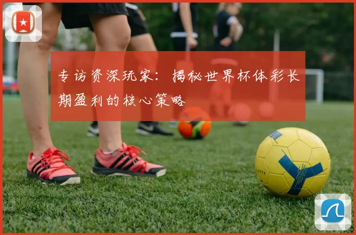 专访资深玩家：揭秘世界杯体彩长期盈利的核心策略