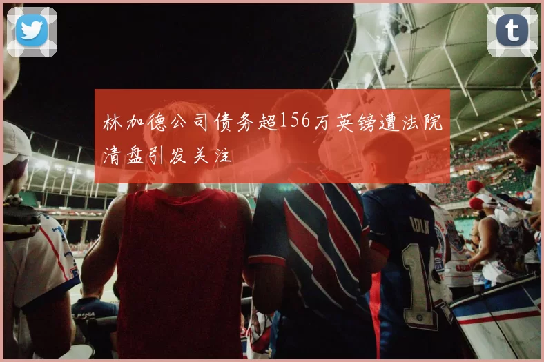 林加德公司债务超156万英镑遭法院清盘引发关注