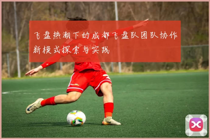 飞盘热潮下的成都飞盘队团队协作新模式探索与实践