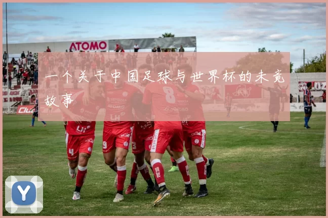 一个关于中国足球与世界杯的未竟故事