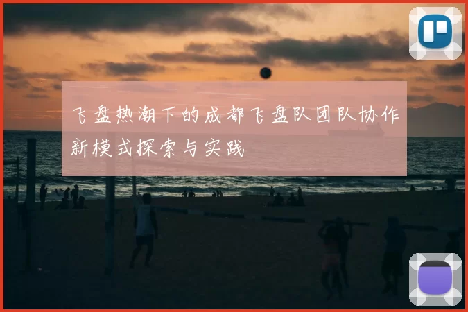 飞盘热潮下的成都飞盘队团队协作新模式探索与实践