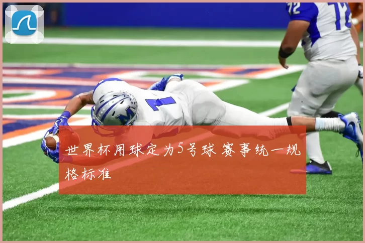 世界杯用球定为5号球 赛事统一规格标准