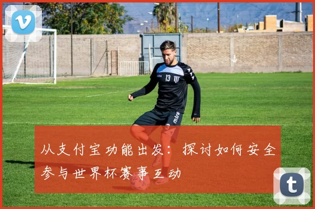 从支付宝功能出发:探讨如何安全参与世界杯赛事互动
